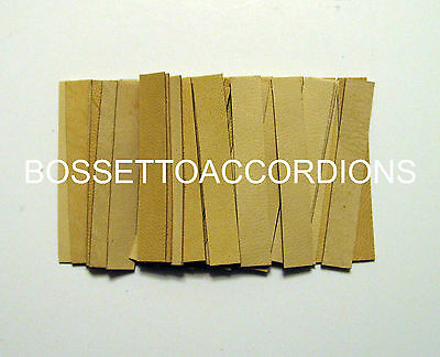 Accordion Reed Leather Leathers Valves Set Of 36 Size 4 Ventile Für Akkordeons