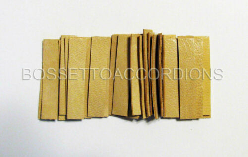 Accordion Reed Leather Leathers Valves Set Of 36 Size 6 Ventile Für Akkordeons