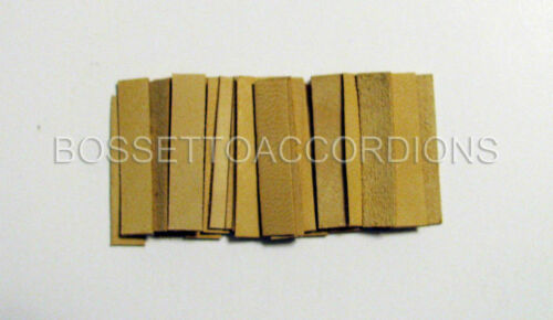 Accordion Reed Leather Leathers Valves Set Of 36 Size 7 Ventile Für Akkordeons