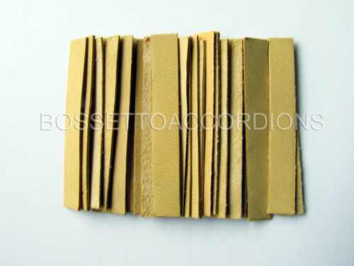 Accordion Reed Leather Leathers Valves Set Of 24 Size 3 Ventile Für Akkordeons