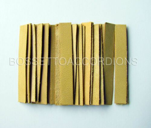 Accordion Reed Leather Leathers Valves Set Of 24 Size 2 Ventile Für Akkordeons